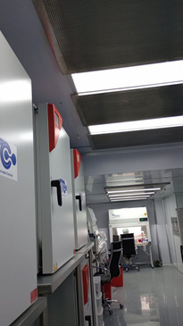 Slider image (5) Instituto de Terapia Celular - Stem Cell Guadalajara Mexico